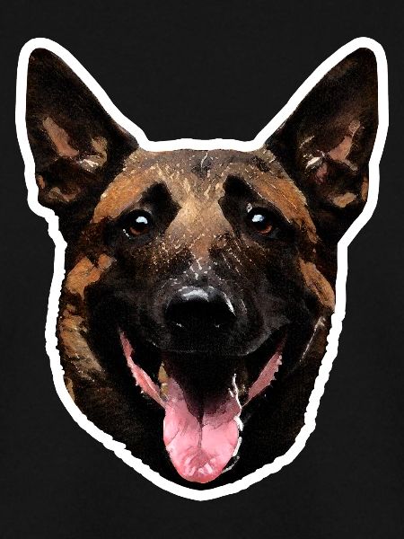 Malinois
