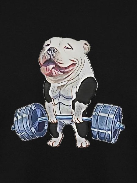 Muscle Bully