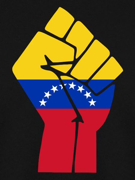 Venezuela Faustflagge
