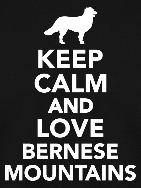 Bouvier Bernois