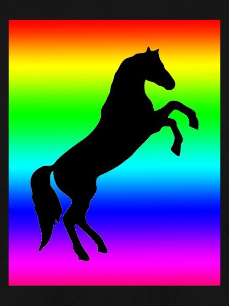 Regenbogen Pferd