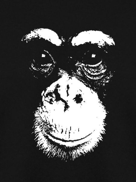 Schimpanse - Chimp - Chimpanzee