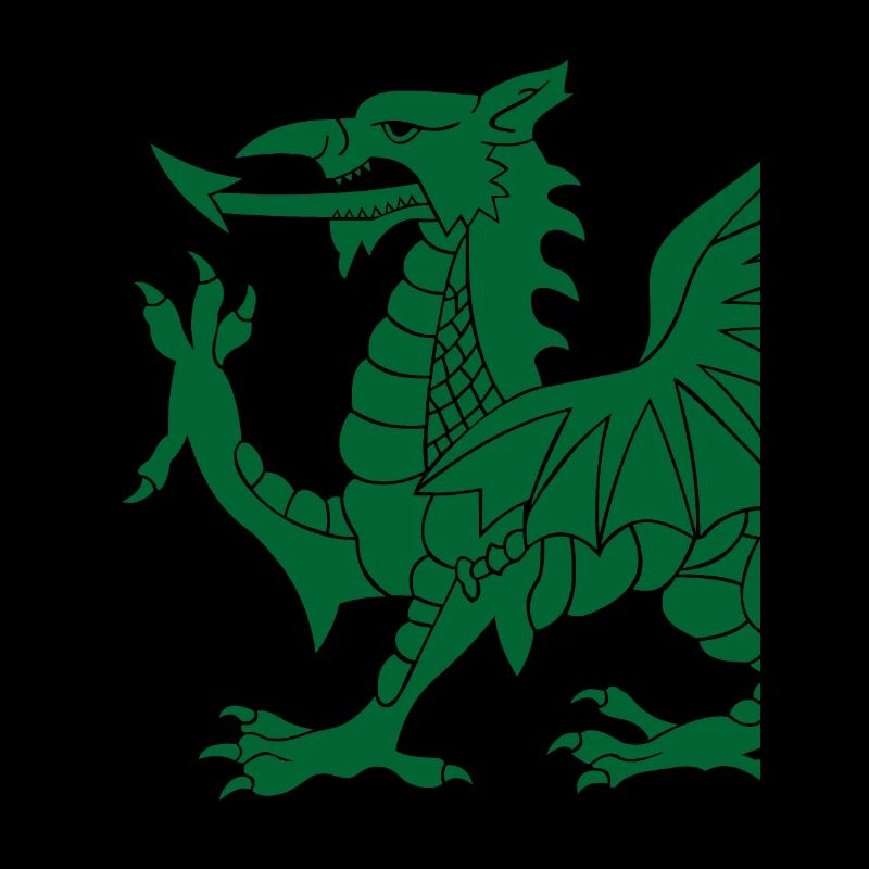 Walisischer Drache