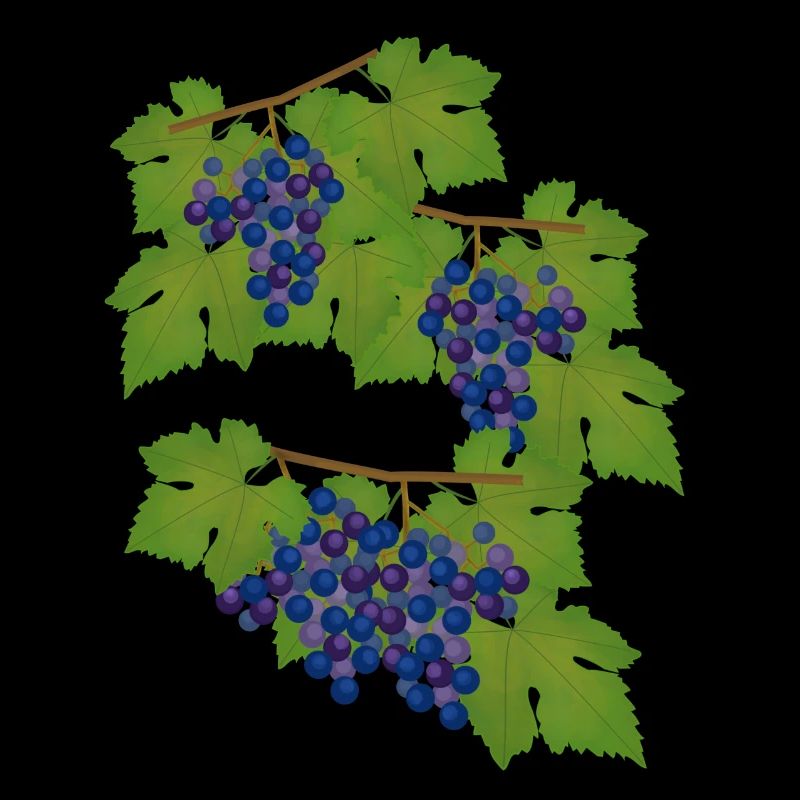 Raisins, vignes, automne, vin