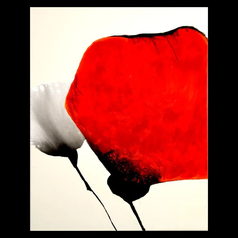 Mohn