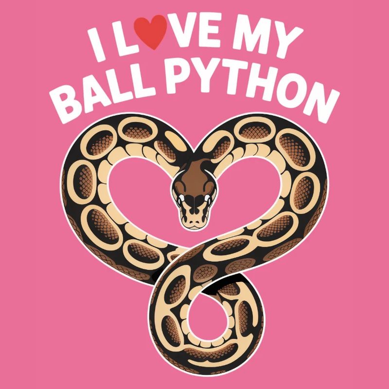 J’adore mon python royal ! Roi python