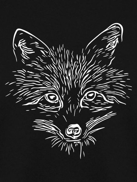 Fuchs Gesicht - Fox Face