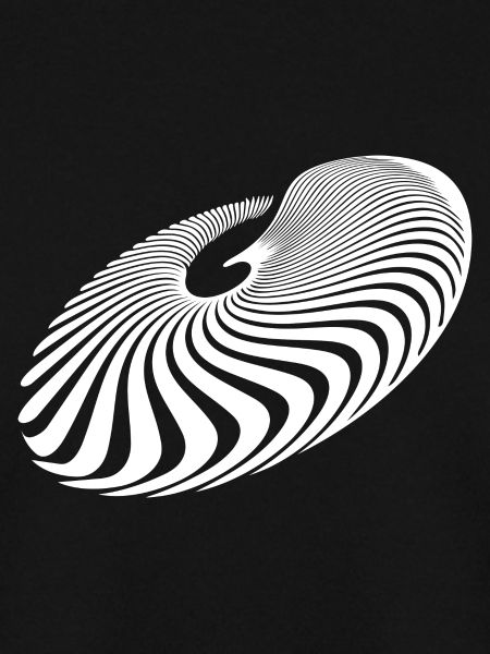 Geometric Circle Lines Spiral