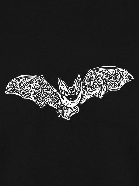 Incredibly cute bat