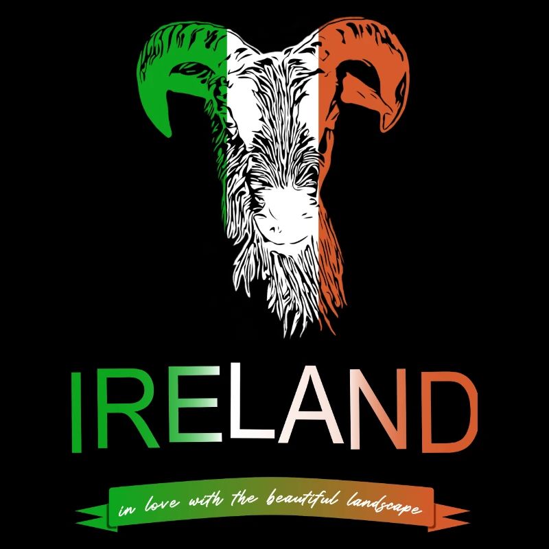Irland Ireland sheep