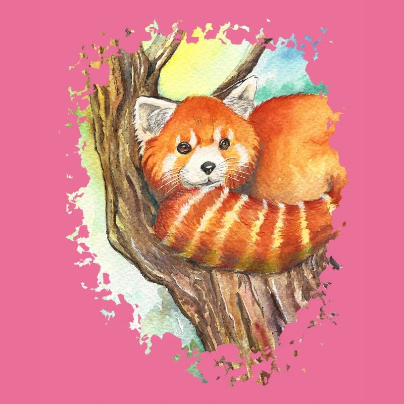 Red Panda