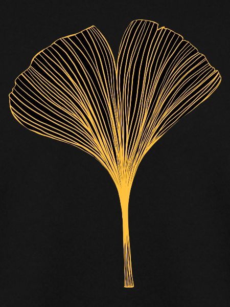 Ginkgo