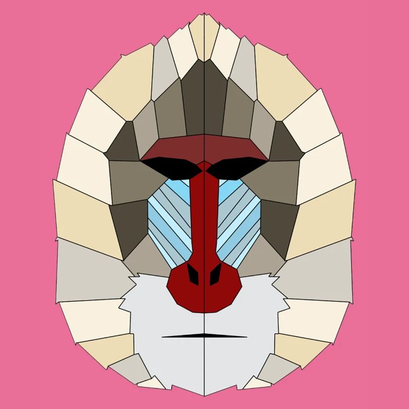 Mandrill geometrisch