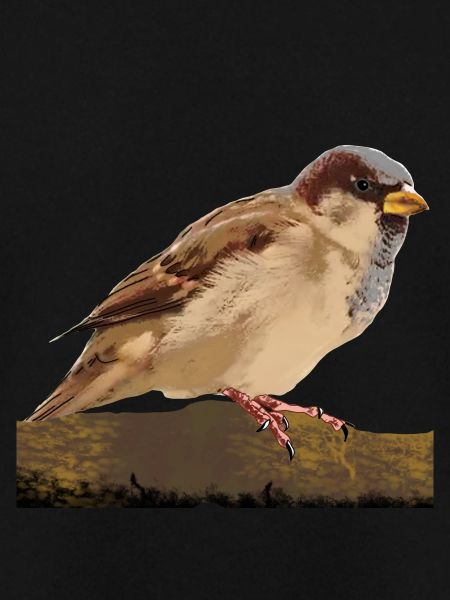 Spatz