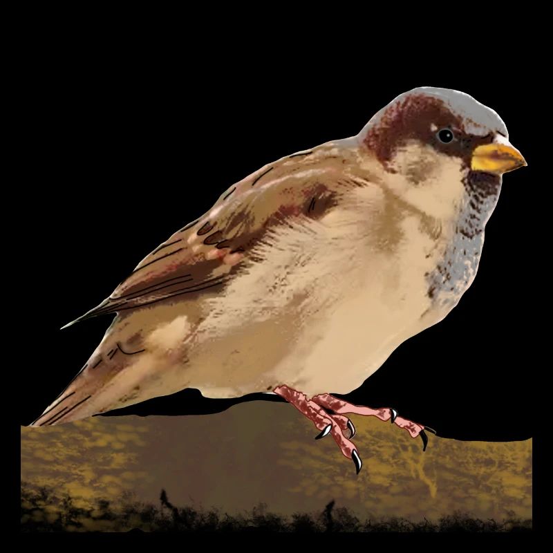 Moineau