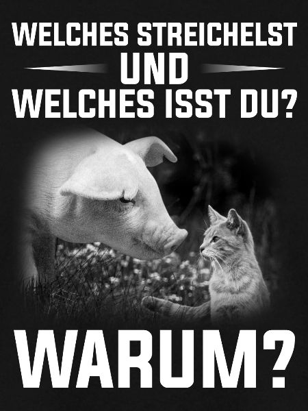 Welches streichelst du?