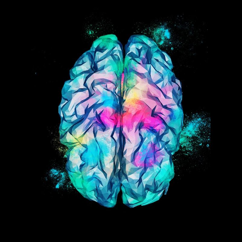 Brain Low Poly Colorful