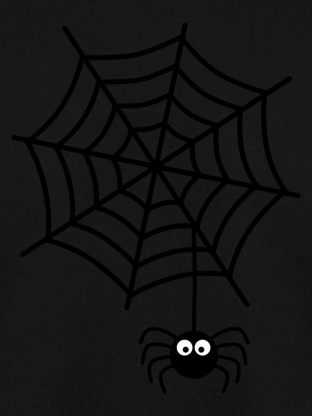 Spinnennetz Spinne