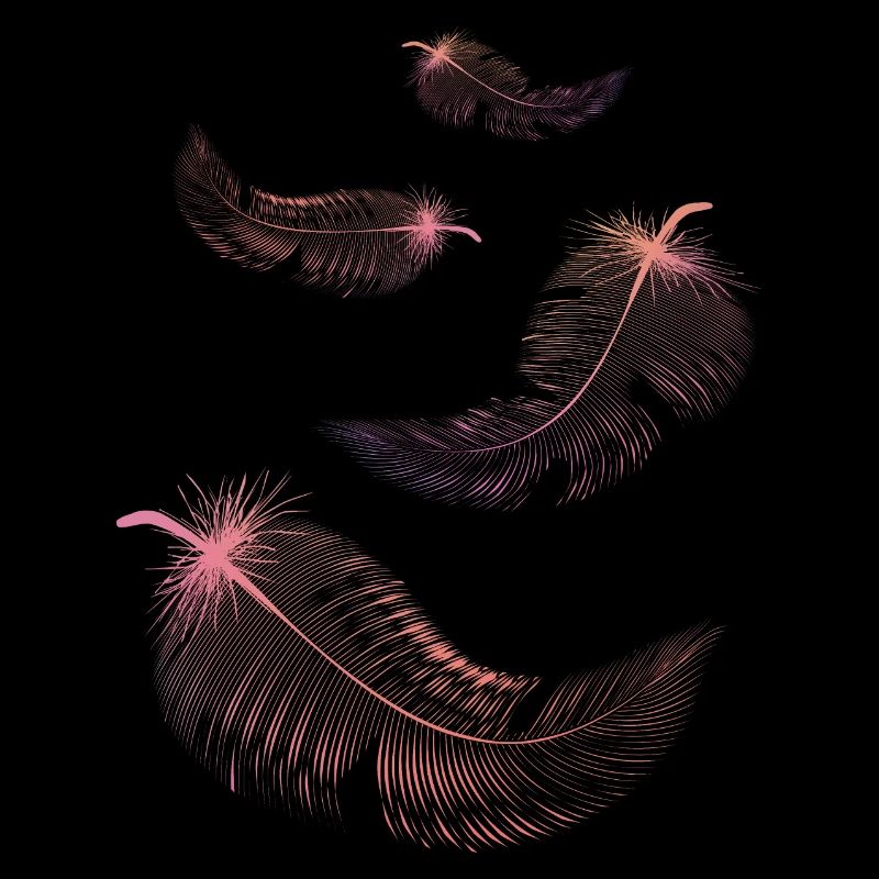 Plumes de couleurs rose et lilas