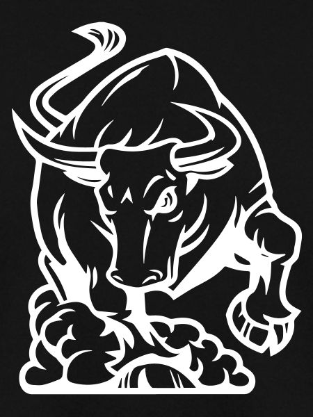 stier