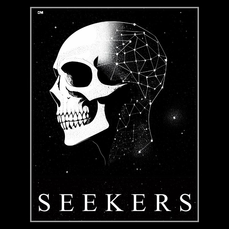 Cosmic Mirror Seekers