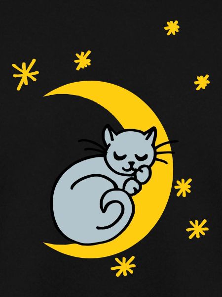 Mondkatze