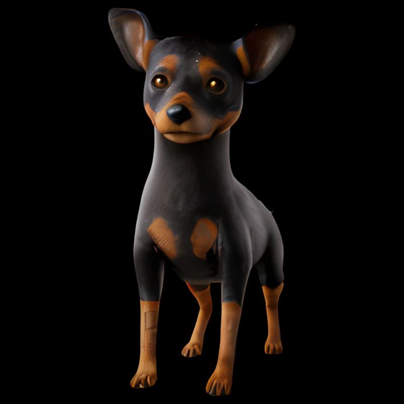 Lancashire Heeler
