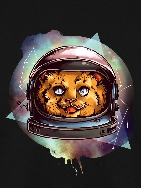 Space cat