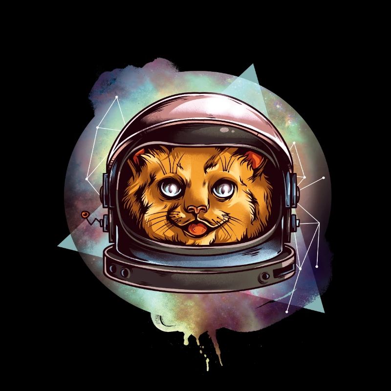 Chat de l'espace
