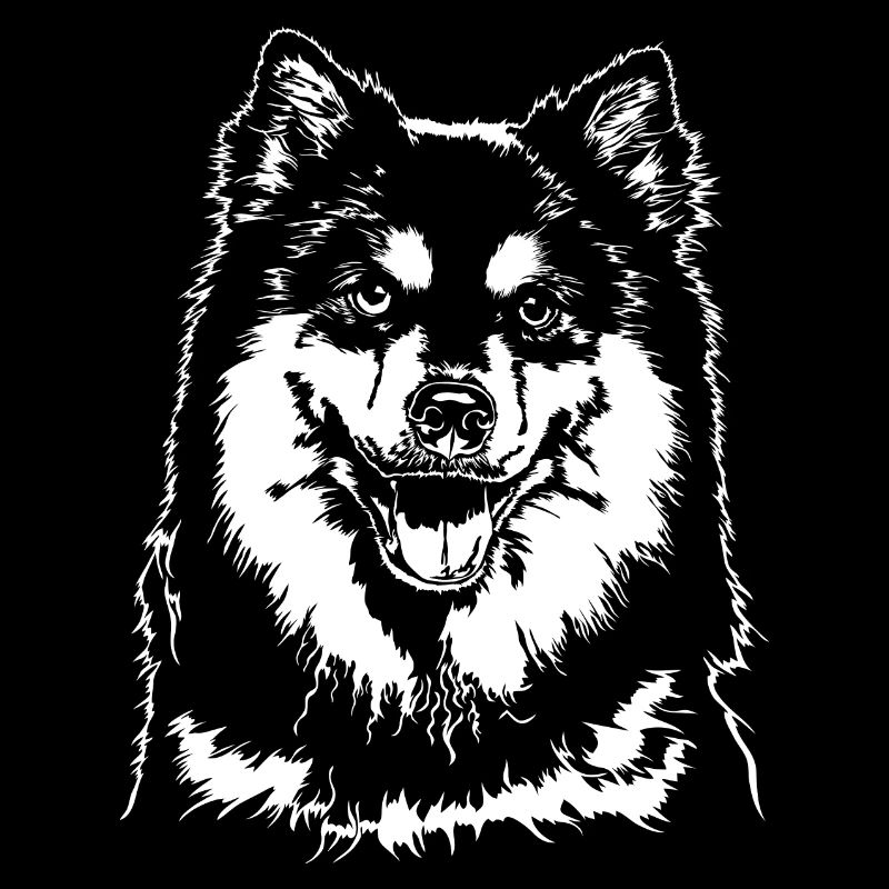 FINNISCHER LAPPHUND Hund Hunde Wilsigns