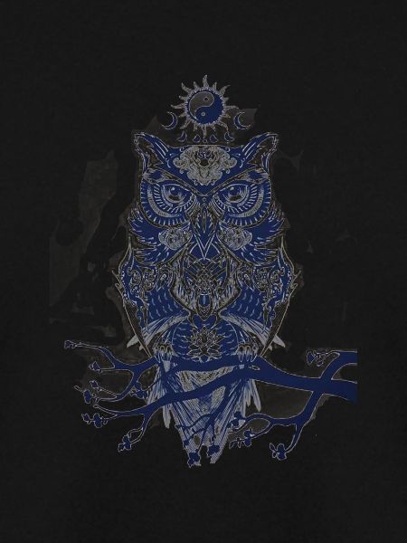owl