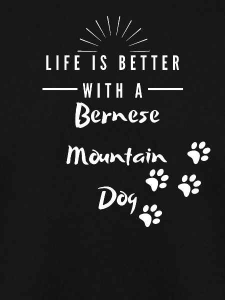 Bernese Mountain Dog