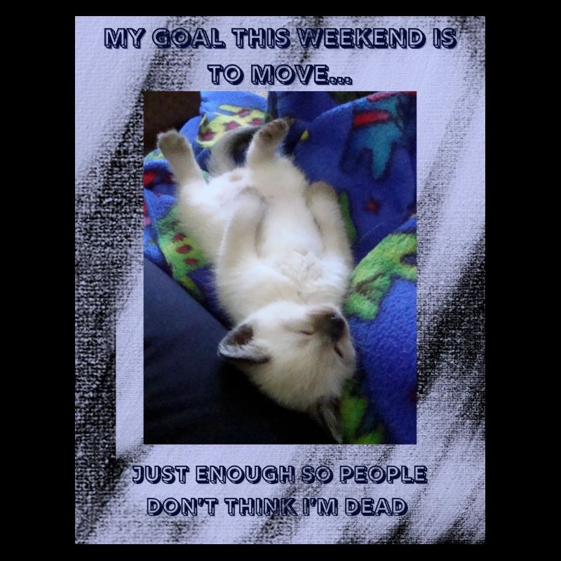 Move just enough so that they don’t think I’m 🫠🫥