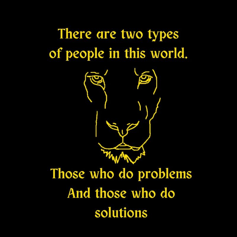 Faire des solutions