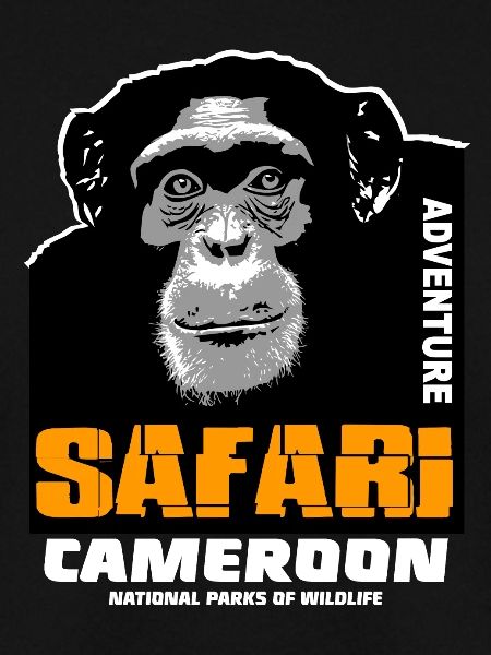 Cameroon - Chimpanzees