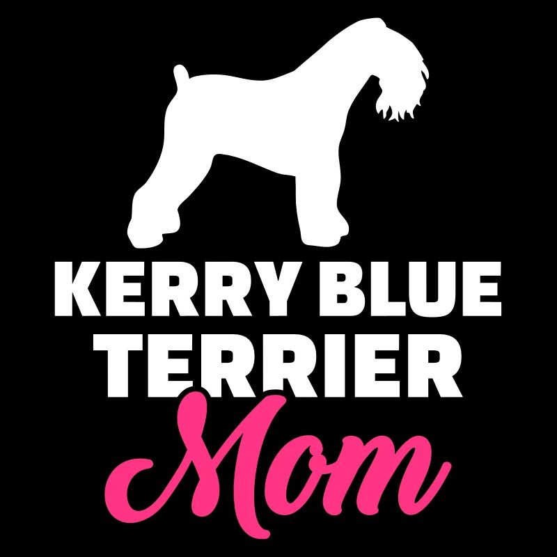 Kerry Blue Terrier