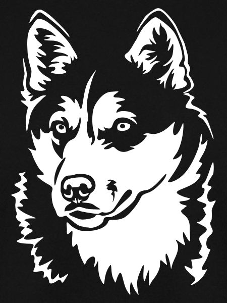 Husky Head "Black Edition"