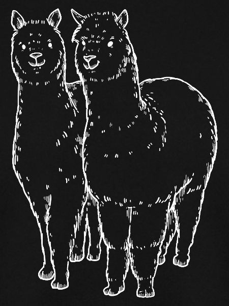 Two Alpaca Llama Lines Drawing