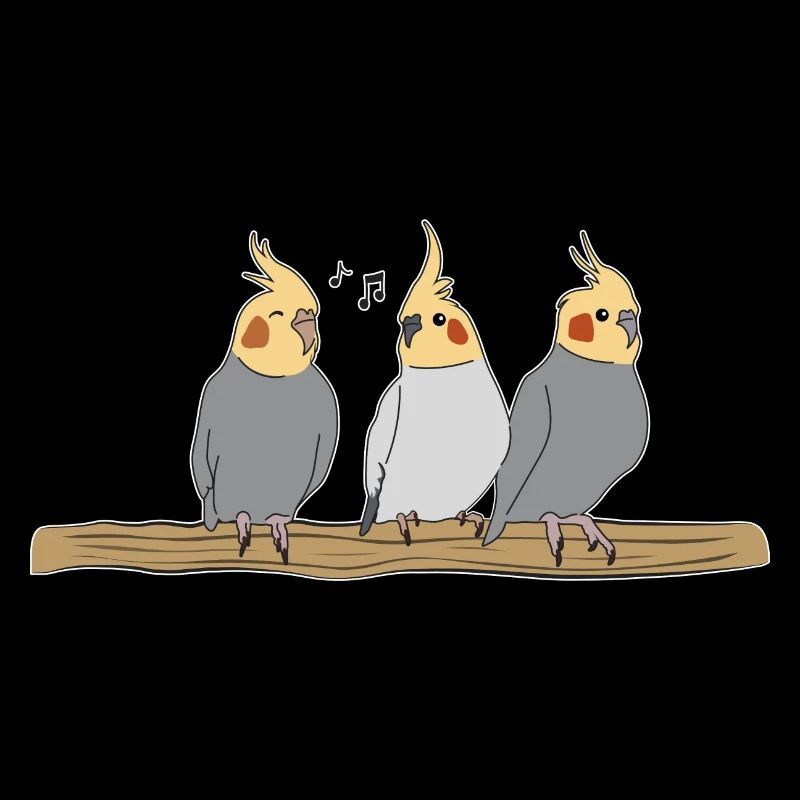 Nymphensittich oiseaux animaux animaux