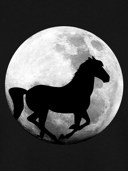 Pferd Vollmond Pferde