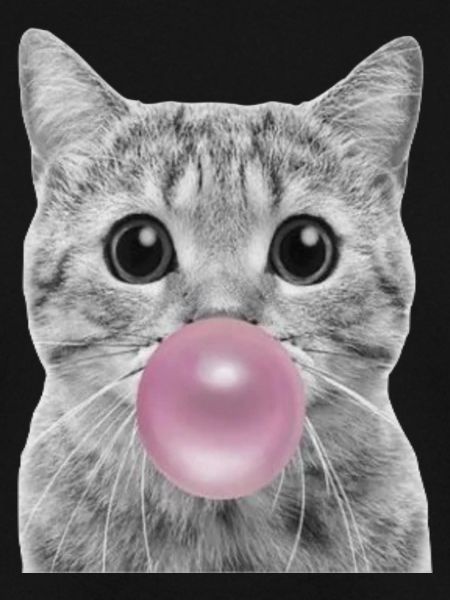 Bubble Cat