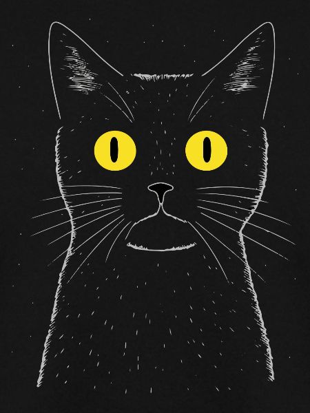 Quirky Cat At Night