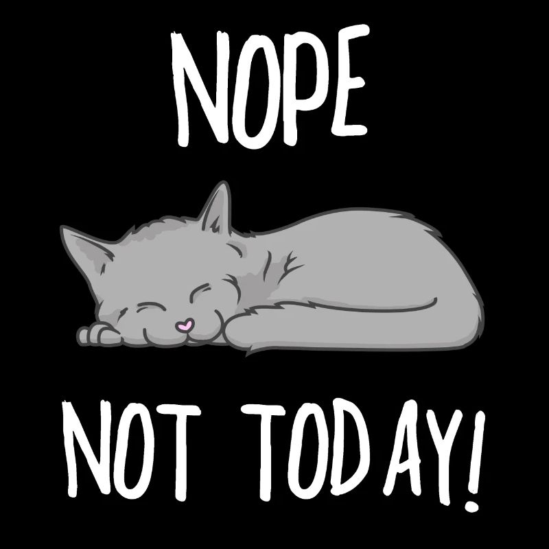 NOPE NOT TODAY CHAT Cadeau idée cadeau