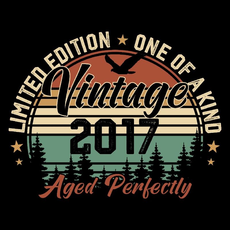 Vintage 2017 Retro 2017 Birthday Gift 2017