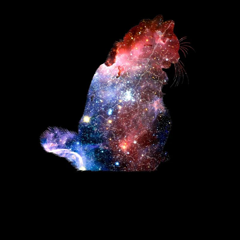 Cat Cats Universe Stars Galaxy