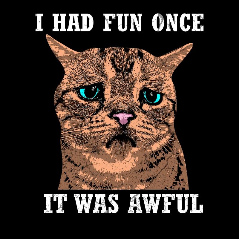 Funny cat