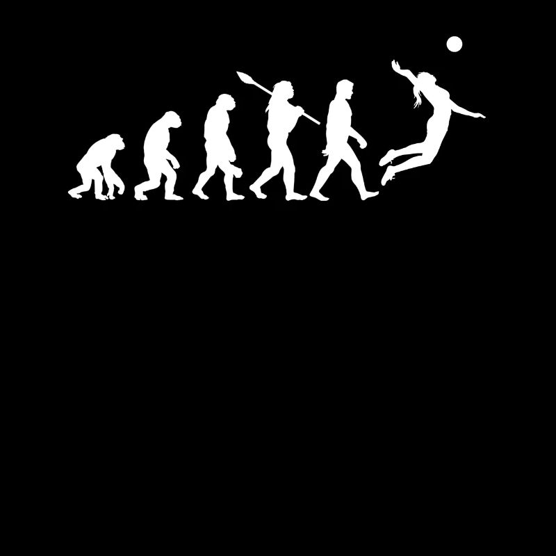 Evolution Volleyball
