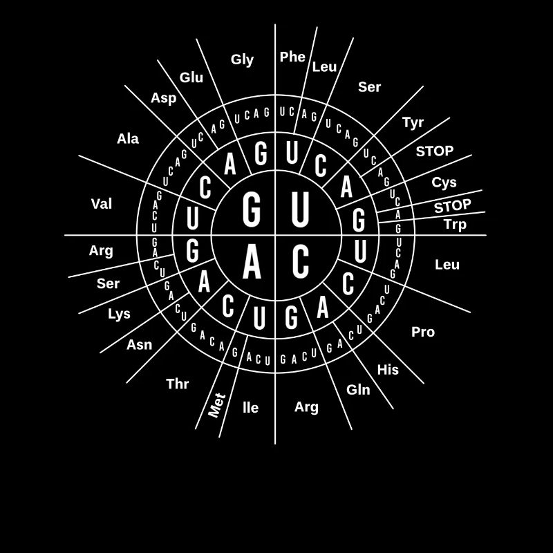 Great Biology Genetics, Sun Code, Funny
