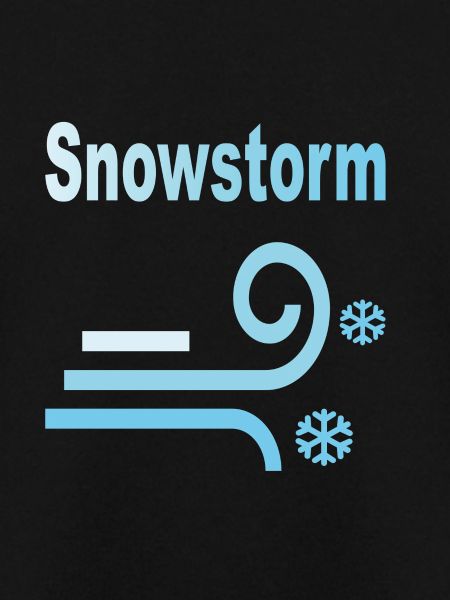 Snowstorm - Schneesturm