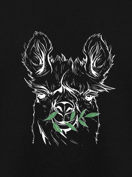 Lama, Alpaca